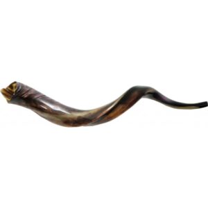 Shofar - Yeminite (BTTsy) : Blow The Trumpet: Shofar Yeminite