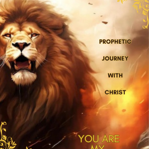 Bride Of Christ Diary