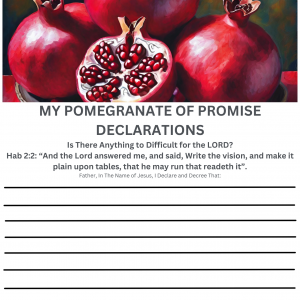 Declarations - My Pomegranate of Promise