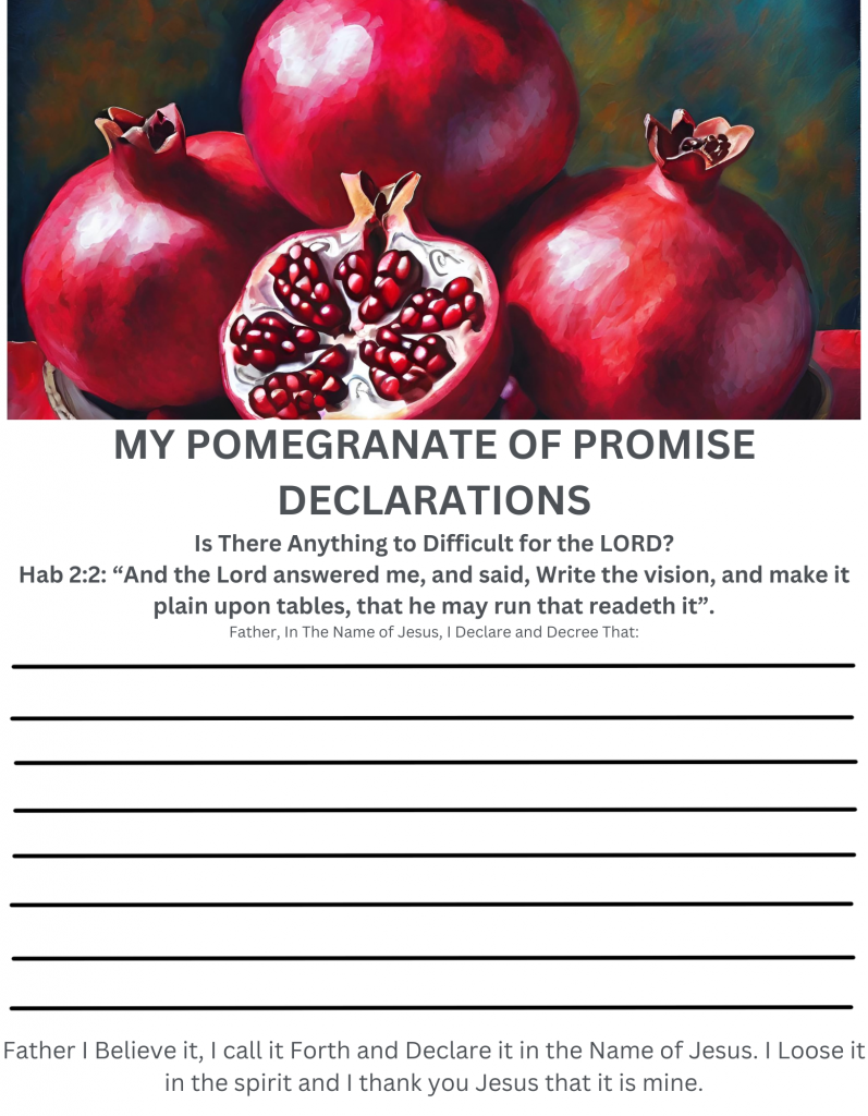 Declarations - My Pomegranate of Promise